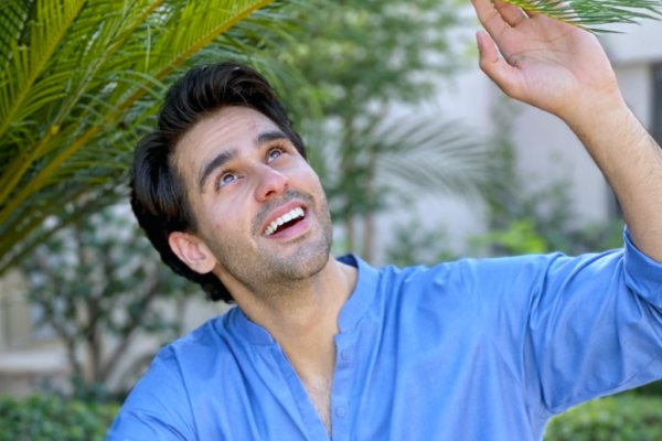 Ameer Gilani Biography, Age, Education, Career & Dramas