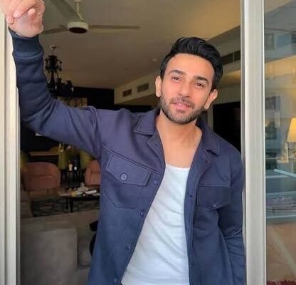 Ali Ansari: Age, Education, Career and Family Biography