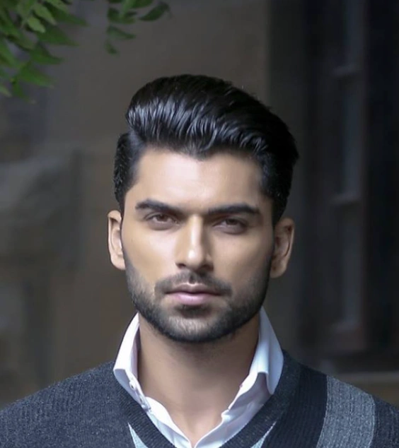 Rizwan Ali Jaffri Biography: Age, Education, Career